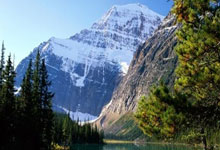 北单足球官网首页能提供哪些服务?如何高效使用其功能?